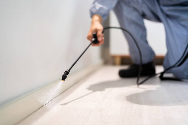 Rodent Entry Point Assessment in Fountainhead-Orchard Hills