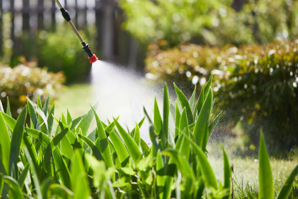 Tamper-Resistant Bait Stations for Rodents in Fountainhead-Orchard Hills