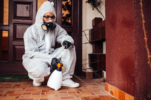 Attic and Crawl Space Rodent Treatment in Fountainhead-Orchard Hills