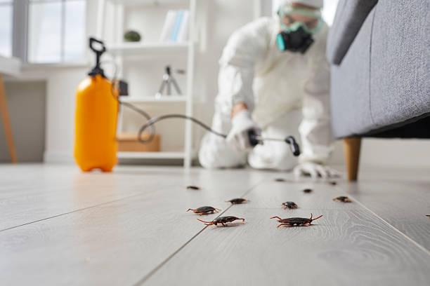Commercial Rodent Management in Fountainhead-Orchard Hills